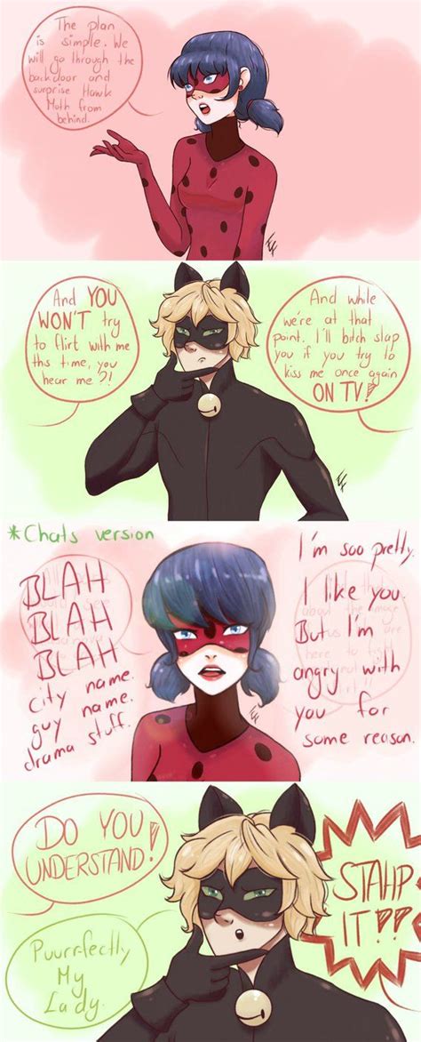 miraculous ladybug and chat noir on deviantart