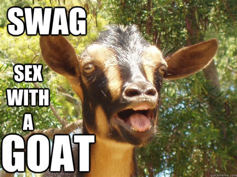 swag sex with a goat surprise goat quickmeme