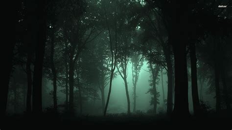 foggy forest wallpapers high quality flip wallpapers