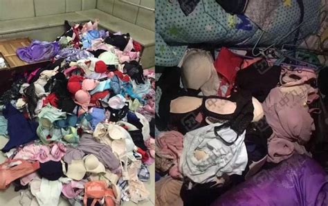 thief who likes to cuddle with 10 000 pairs of stolen women s underwear