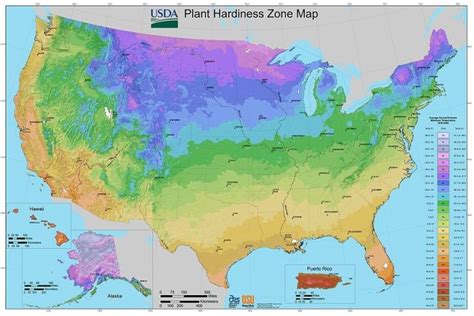 find  growing zone gardenologist plant hardiness zone plant