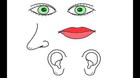 coloring pages  eyes nose  mouth night  christmas coloring