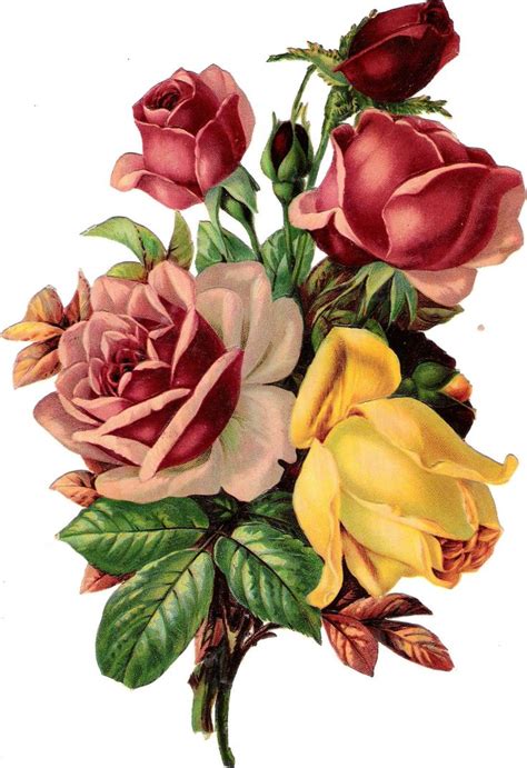 plaatjes rose rose glanzbilder victorian die cut victorian scrap tube victorienne