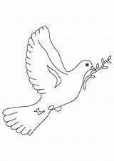 Dove Coloring Peace Symbol Pigeon Flying Game Print sketch template