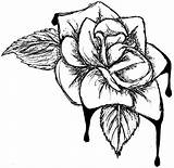 Rose Drawing Hand Holding Gothic Blood Bloody Flower Line Coloring Pages Roses Drawings Clipart Easy Skeleton Cliparts Heart Bleeding Clip sketch template