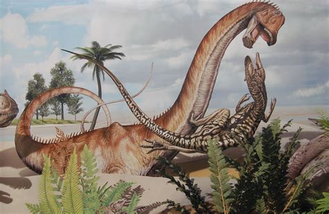 sauroposeidon planet dinosaur wiki fandom powered  wikia
