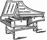 Getdrawings Harpsichord Drawing sketch template