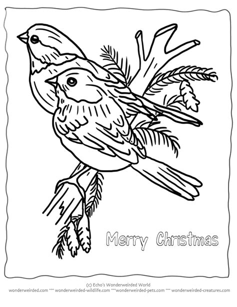 handmade card birds   branch printable christmas coloring pages