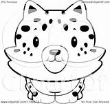 Bobcat Cartoon Baby Clipart Coloring Smiling Vector Outlined Thoman Cory Illustration Background Regarding Notes Clipartof sketch template