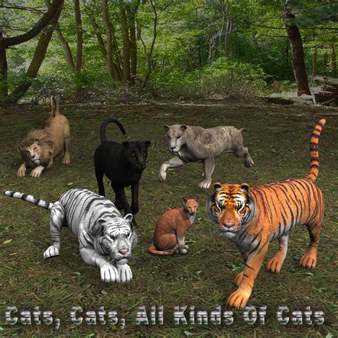 3d art freebie challenge august 2020 cats cats all kinds of cats