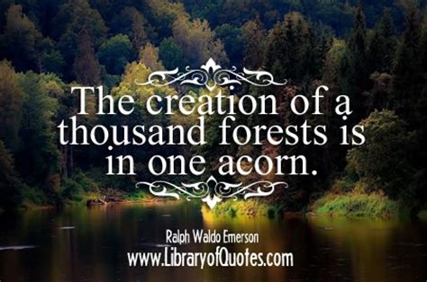 inspirational quotes forest quotesgram