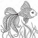 Fish Decorative sketch template