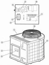 Parts Hayward Diagram Heat Heater Pump Heatpro Hps Pro Heaters Hp5 sketch template