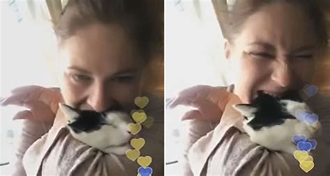 russian woman livestreams biting cat in revenge attack