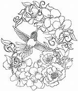 Coloring Pages Hummingbird Adults Flower Tattoo Bird Adult Printable Flowers Drawing Metacharis Deviantart Hummingbirds Advanced Humming Print Birds Color Detailed sketch template