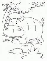 Hippopotamus Nilpferd Hippo Ausmalbilder Hippopotame Animaux Ausmalbild Coloriage Kolorowanki Coloriages Druku sketch template