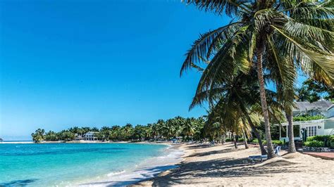 jamaicas  moon reopens founders cove resort caribbean journal