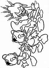 Kwak Kwek Kwik Kleurplaten Fifi Loulou Riri Tick Trick Pato Paco Hugo Huguinho Zezinho Disneykleurplaten Mercure Disneymalvorlagen Disneydibujos Coloriez Animaatjes sketch template