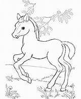 Horse Coloring Pages Cute Printable Baby Kids Color Spirit Drawing Disney Print Pretty Lego Sketch Stallion Detailed Running Getdrawings Friends sketch template