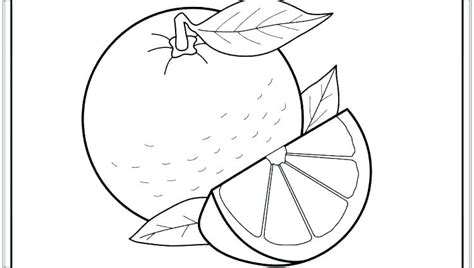 coloring pages orange coloring pages