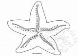 Starfish Verano Colorear Páginas Coloringpage Estrella Bingo sketch template