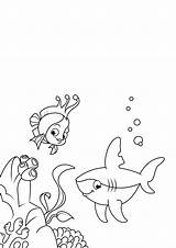 Pesce Squalo Kleurplaat Malvorlage Ausmalbilder Fisch Hai Haai Tiburon Pez Jona Wal Herunterladen Große Schulbilder sketch template