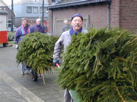 start kerstbomenverkoop bij de nicolaas en de barbarakerk  nieuwegein de digitale stad