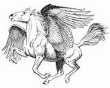 Pegasus Coloring Coloringme sketch template