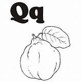 Coloring Pages Quince Alphabet Fruits Surfnetkids Vegetables Colouring Kids Next Sheets Choose Board sketch template