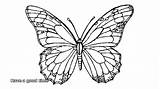 Clipartmag Adults Ausmalbilder Multiple Schmetterlinge Getdrawings Erwachsene Antistress sketch template
