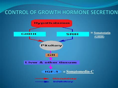 growth hormone prof faten drtag powerpoint  id