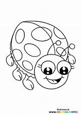 Ladybug Flying Ladybugs sketch template