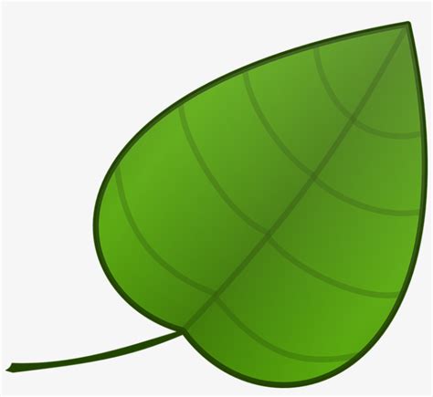tropical leaf template  cliparts    simple leaf