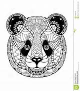 Panda Zentangle Bear Illustration Vector Stylized Freehand Coloring Preview sketch template