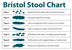 bristol stool chart gastrointestinal society