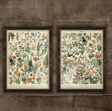 vintage french botanical art prints set   printable etsy