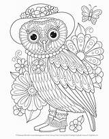 Owls Nocturnal Groovy Thaneeya Mcardle Niches 1119 Beginner Stoic Advice sketch template