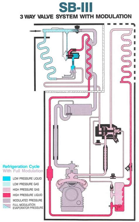 luxury thermo king wiring diagram