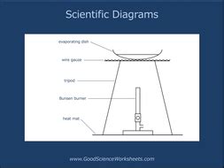 scientific diagrams  teaching resources