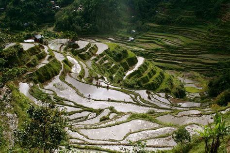 banaue rice terraces pictures  facts ifugao