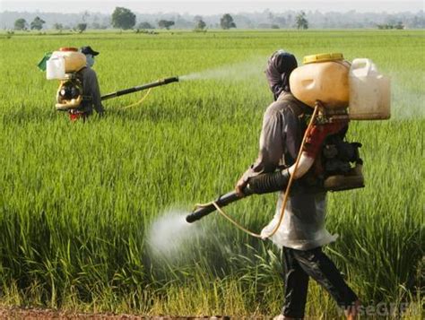 Glyphosate At Best Price In India