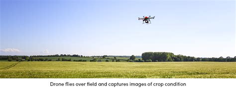 drone flies  field agrivi