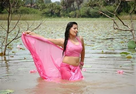 hot and sexy photo gallery for all over the world actress roopika hot