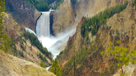 the best hotels closest to grand canyon of yellowstone in yellowstone