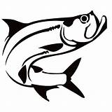 Tarpon Decal sketch template