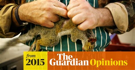 Why I Ate A Roadkill Squirrel George Monbiot The Guardian