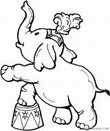 Coloring Pages Circus Elephant Coloring4free Printable Related Posts Lion sketch template