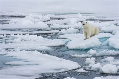 Whats Happening To The Arctic Inside Climate News