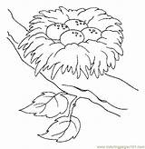 Coloring Pages Nest Birds Bird Printable Animal Eggs Nests Humming Kids Color Sheets Adult Choose Board sketch template