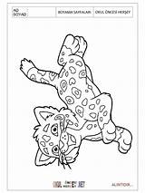 Jaguar Preschool Coloring Pages Printable Crafts sketch template